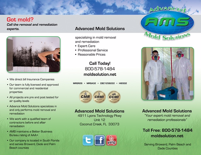 Advanced Mold Solution Brochure Page 1