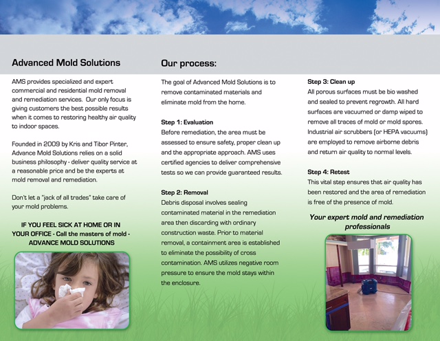 Advanced Mold Solution Brochure Page 2